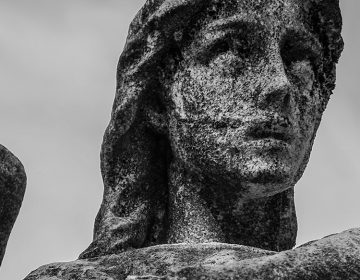 750x-_0033_angel-1841177